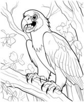 vautour coloration page pour adultes vecteur