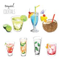 Ensemble de cocktails tropicaux. vecteur
