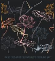 fleurs et feuilles de lotus d'illustration de modèle doublé sans couture. vecteur