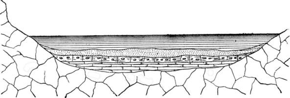 mode de formation de terre sédiment, ancien gravure. vecteur