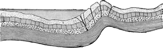 fractures dans le écorce de le globe, ancien gravure. vecteur