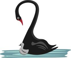 une noir cygne avec ses poussin vecteur ou Couleur illustration