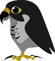 le noir faucon vecteur ou Couleur illustration