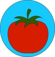 une gros tomate vecteur ou Couleur illustration