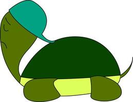 tortue dans casquette vecteur ou Couleur illustration