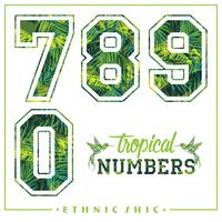Numéros tropicaux de vecteur pour t-shirts, affiches, cartes et autres utilisations.