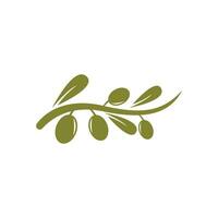 olive logo icône vecteur