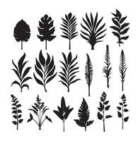 grand différent champ paume feuilles les plantes modèle ensemble de noir et blanc vecteur des illustrations différent paume feuilles les plantes noir silhouette