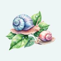 ai généré mignonne escargots aquarelle png sublimation vecteur