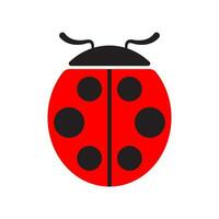 coccinelle ou coccinelle vecteur graphique illustration, isolé. mignonne Facile plat conception de noir et rouge Dame scarabée.