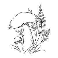 vecteur linéaire illustration de champignons