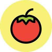 tomate vecteur icône conception illustration