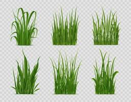 réaliste herbe, vert champ ou pelouse les plantes vecteur