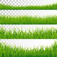Bordures d&#39;herbe verte définies illustration vectorielle sur fond transparent. vecteur