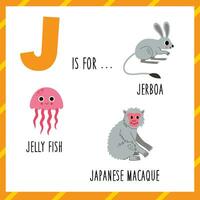 apprentissage Anglais alphabet pour enfants. lettre J. mignonne dessin animé gerboise Japonais macaque gelée poisson. vecteur