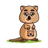 mignonne quokka dessin animé, animal alphabet mignonne dessin animé vecteur