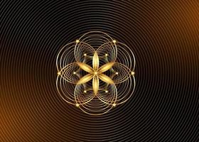 graine de vie symbole géométrie sacrée. icône du logo d'or mandala mystique géométrique de l'alchimie ésotérique fleur de vie. cercles d'or entrelacés, amulette méditative de lotus vecteur isolé sur fond doré
