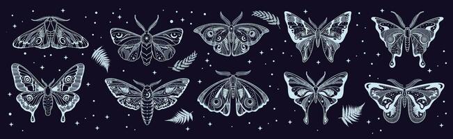 mystique papillon, papillon ésotérique silhouettes vecteur