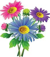 aster fleur illustration vecteur