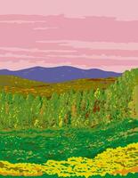 l'automne dans génial enfumé montagnes nationale parc Tennessee Etats-Unis wpa affiche art vecteur