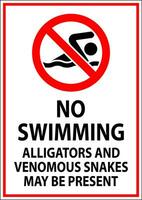 non nager signe, alligators et venimeux serpents mai être présent vecteur