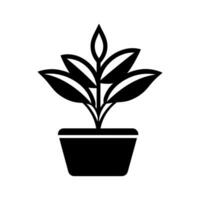chinois à feuilles persistantes icône - Facile vecteur illustration