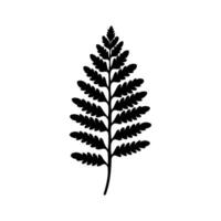 Boston fougère plante icône - Facile vecteur illustration