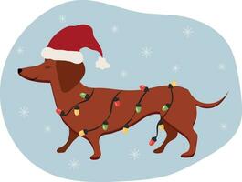 une chien avec une guirlande, portant une Père Noël chapeau. teckel. vecteur. vecteur