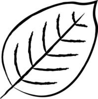 hêtre feuille main tiré vecteur illustration