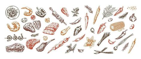 une ensemble de dessiné à la main croquis de barbecue et pique-nique éléments. pour le conception de le menu de Restaurants et les cafés, grillé aliments. griffonnage ancien illustration. gravé image. vecteur