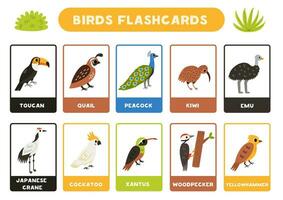 mignonne des oiseaux avec des noms. flashcards pour apprentissage Anglais. vecteur