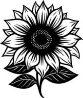 tournesol, noir et blanc vecteur illustration