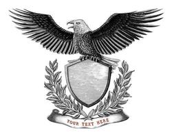 conception de l'emblème de l'aigle et du bouclier dessiner à la main un style de gravure vintage vecteur
