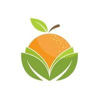 logo de fruits orange vecteur