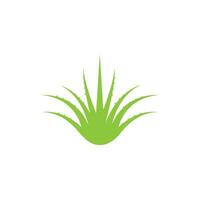 logo d'aloe vera vecteur