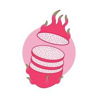 tranché dragon fruit vecteur illustration