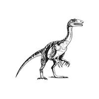 illustration de dinosaure vecteur