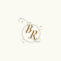 br mariage monogramme initiale dans parfait détails vecteur