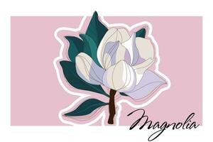 magnolia fleur. conception de floral répétable Contexte pour impression. dessiné à la main coloré plat vecteur illustration