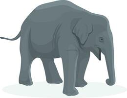 l'éléphant bébé illustration, animaux, l'éléphant à le zoo vecteur