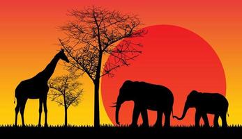 animaux sauvages safari coucher de soleil vecteur