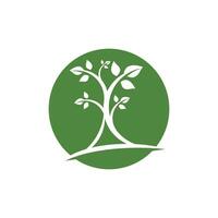 logos de l'écologie des feuilles d'arbre vert vecteur