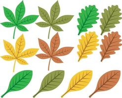 jeu d'icônes de feuilles vecteur