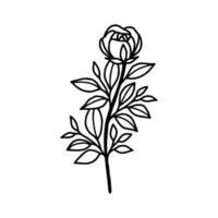 ancien main tiré Rose floral et feuille branche vecteur ligne art illustration