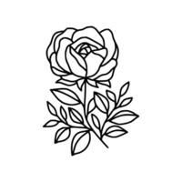 ancien main tiré Rose floral et feuille branche vecteur ligne art illustration