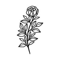 ancien main tiré Rose floral et feuille branche vecteur ligne art illustration