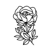 ancien main tiré Rose floral et feuille branche vecteur ligne art illustration