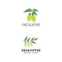 feuilles d'eucalyptus logo vector illustration de conception de modèle