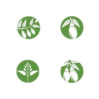 feuilles d'eucalyptus logo vector illustration de conception de modèle