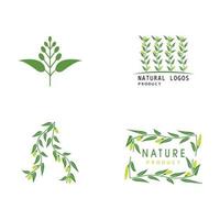 feuilles d'eucalyptus logo vector illustration de conception de modèle